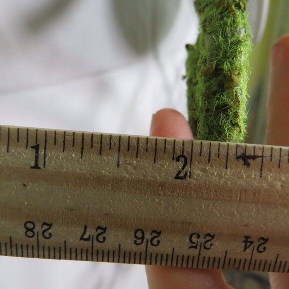 Green Botanical Wreath with "Family" Ceramic Plaque Faux Moss Thick Metal - Picture 12 of 12